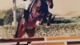 Poney'Art