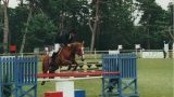 Poney'Art
