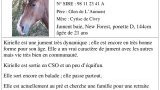 Les origines du club