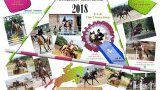 Championnats de France