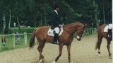 Poney'Art
